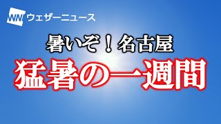 暑いぞ！名古屋・猛暑の一週間