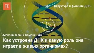 Каноническая структура ДНК — Максим Франк-Каменецкий