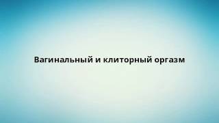 Вагинальный и клиторный оргазм