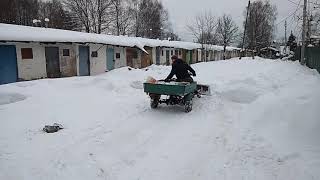 Муравей чистит снег