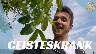 Wird man GEISTESKRANK durch MEDITATION? | Daniel Wörner