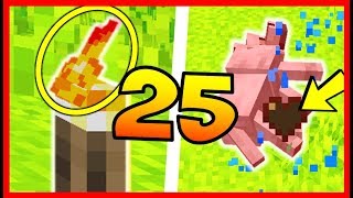 MINECRAFT 1.14 : 25 GLITCHS ET BUGS WTF QUI EXISTENT DEPUIS TOUJOURS !