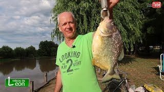 Palometas de Rio Paranacito ? Pescando pirañas en Villa Paranacito