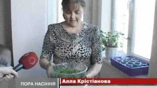 Покупці вибираючи насіння зважають на якіст...