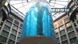 Aquadom, el mayor acuario cilíndrico del mundo.