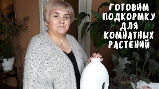 Готовим подкормку для комнатных цветов. Мои цветы. Мой опыт.