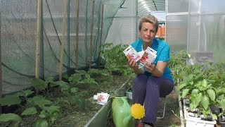 Биопрепараты действуют! Наталья Петренко о правилах применения