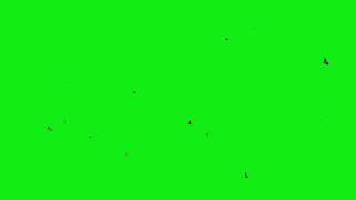 Летящие птицы на зеленом фоне, хромакей