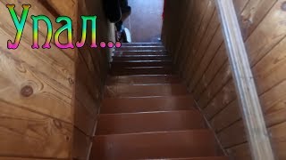Дачный ВЛОГ: Упал с лестницы / Холодные деньки