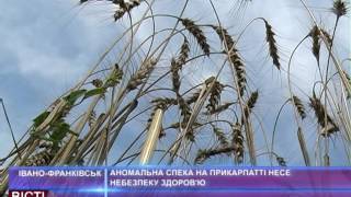 Аномальна спека на Прикарпатті несе небезпеку здоров"ю