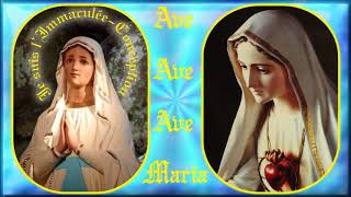 AM584e. Vierge Sainte : Instrumental pour 15 couplets