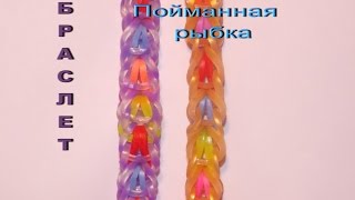 плетение браслета из резинок ПОЙМАННАЯ РЫБКА без станка на рогатке