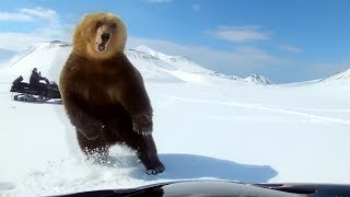 Best of NEAR DEATH CAPTURED 2018..!!! [Vol. 1] | Highlights Near Death Videos 2018 | Fail Department