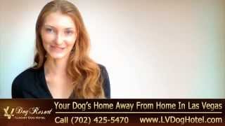Dog Hotel Las Vegas | Call (702) 425-5470 | Las Vegas NV Dog Hotel