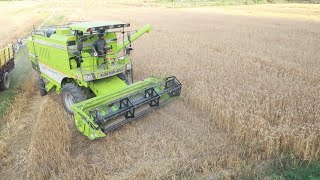 ( jugar ) kale di combine l Kartar Combine l Combine cutting wheat