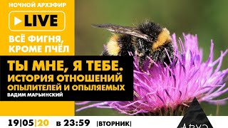 Ночной АРХЭфир «Все фигня, кроме пчел» — «Ты мне, я тебе. История отношений опылителей и опыляемых»