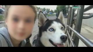 В Пермском крае нашли участниц жестокого избиения школьницы