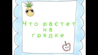Что растет на грядке.Овощи.Развивающее видео для детей