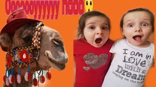 CaMeL SpItS on GiRlS???