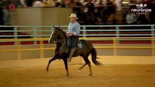 Nobre Trilha Real de Mascan, Res. Campeão dos Campeões de Marcha, Expo Haras Raphaela 2019
