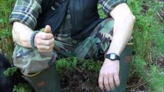 Wild Plants For Mosquito Repellant