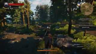The Witcher 3: Wild Hunt Снаряжение школы Грифона 3