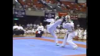 Shorinji-ryu Renshinkan esittely