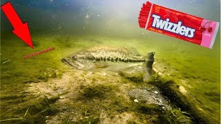 CANDY Lure Fishing CHALLENGE!!! (UNDERWATER FOOTAGE)