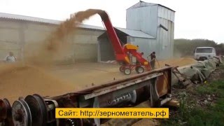 Зернометатель ПЗС-200 «Кубань». Переброска ячменя.