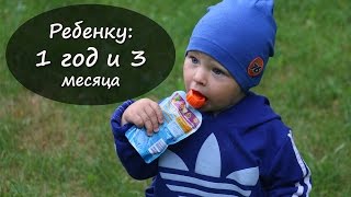 1 год и 3 месяца: кризис 1 ГОДА | Горшок? | ГОВОРИМ?