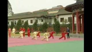 WUSHU - Fundamentals, Basic Training Part 3