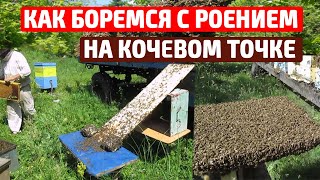Борьба с роением пчел Несколько простых способов