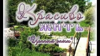 02 Сад Светланы и Валерия Петровых