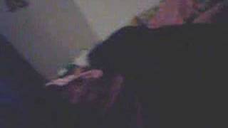 Drunk Hiccups