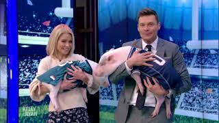 Kelly And Ryan Predict This Year's Super Bowl Winner With A Pig Race