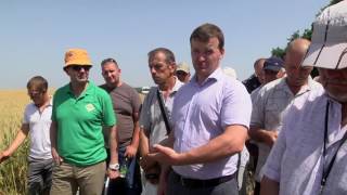 "Агрохимсервис" - "День поля пшеницы" 23.06.16