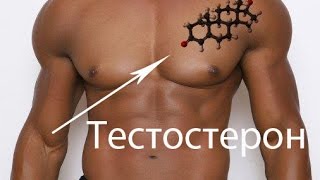 Афродизиаки для мужчин