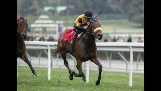 Carressa Wins Grade 3 Megahertz Stakes at Santa Anita, 1-20-20