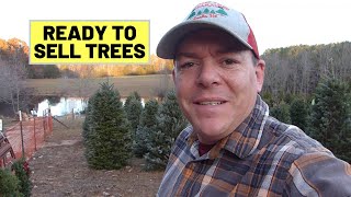 #89 Picking Up Christmas Trees & Setting Up Tree Lot