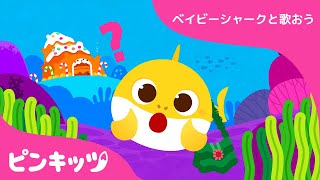 迷子になっちゃったよ まいごのベイビーシャーク | サメの家族 | 童謡と子どもの動画 | ピンキッツ! Pinkfong 日本語