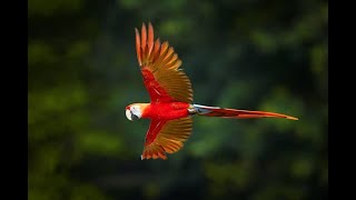 Viaggio in Costa Rica: quando andare?