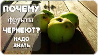 Почему фрукты чернеют от удара?