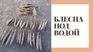 Игра БЛЕСНЫ под водой - МИФ? Рыбалка, зубатка, навага!