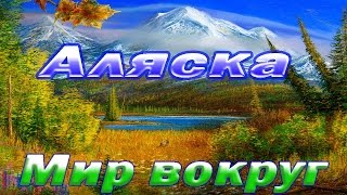 Аляска. Дикая природа Аляски. Документальный фильм.