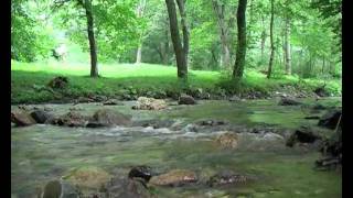Ulovi Trofej - RP SRBIJE - KRUŠEVAC