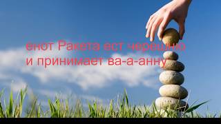 Енот ест черешню