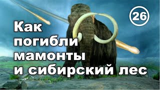 Гибель мамонтов и сибирского леса. Что скрывают ученые. Фильм 26