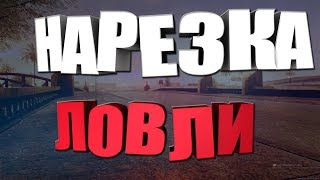 Arizona Phoenix || Ловля домиков || Словил 2 бизнеса