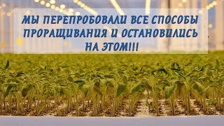 С этим способом дружные всходы вам обеспечены! Лучший способ для проращивания семян!