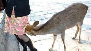 Лучшие Неудачи / Best Fails